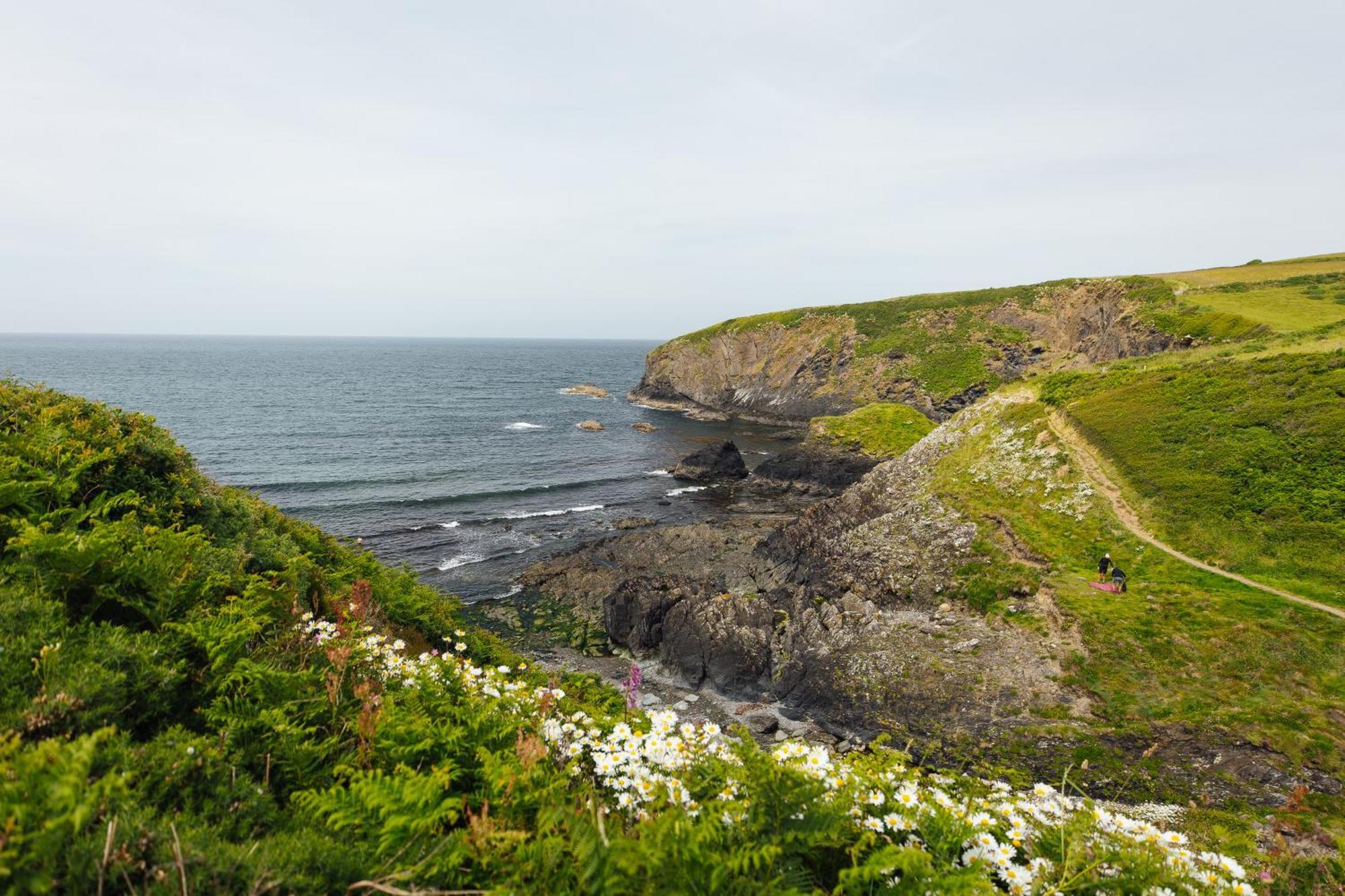 Cliff-Top Cottage On Coast Path W/Panoramic Views Trevine Екстер'єр фото
